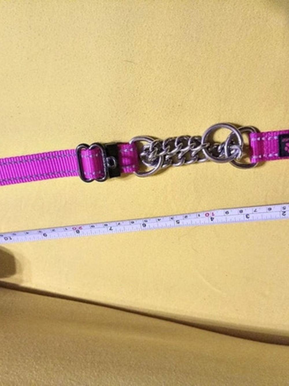 Max & Neo Nylon Reflective Martingale Dog Collar with Chain